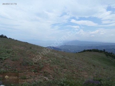 FULL DENİZ MANZARALI YATIRIMLIK KELEPİR ARAZİ.